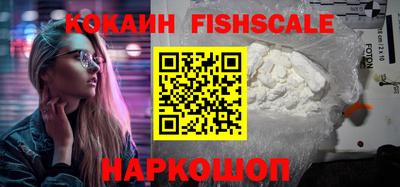 гашик Жуковский