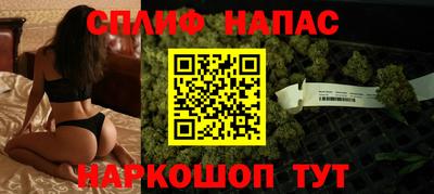 гашик Жуковский