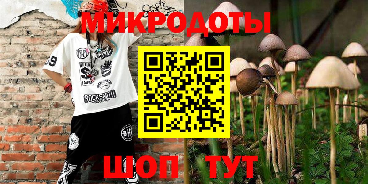 Медногорск  Псилоцибиновые грибы Psilocybine cubensis  Вход с VPN  Галлюциногенные грибы Psilocybe 