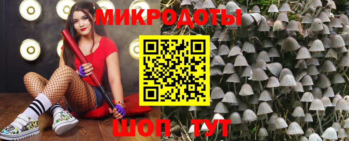 Псилоцибиновые грибы мухоморы Медногорск